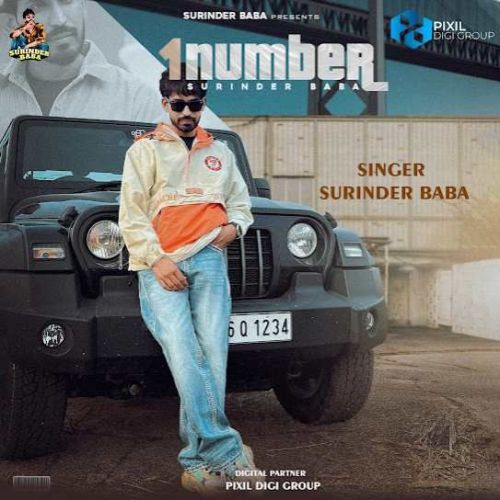 Download 1 Number Surinder Baba mp3 song, 1 Number Surinder Baba full album download