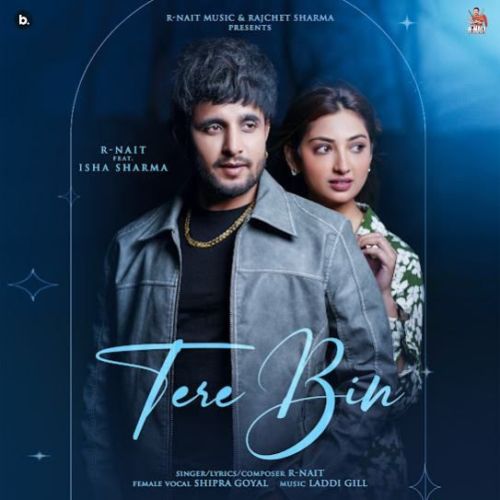 Download Tere Bin R. Nait mp3 song