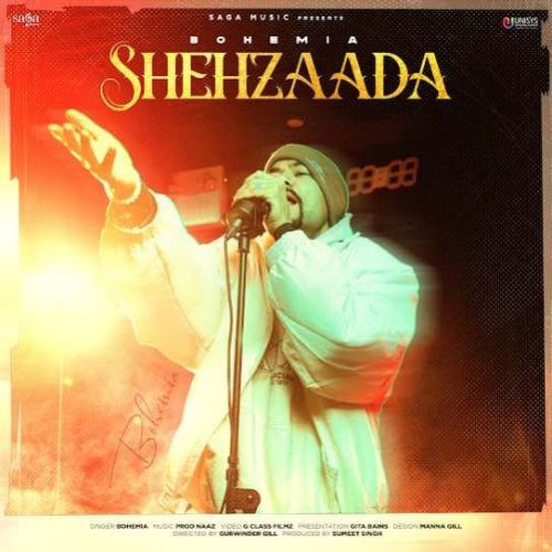 Download Shehzaada Bohemia mp3 song, Shehzaada Bohemia full album download