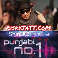 Shin DCS mp3 songs download,Shin DCS Albums and top 20 songs download