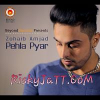 Zohaib Amjad mp3 songs download,Zohaib Amjad Albums and top 20 songs download