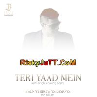 Sunny Brown mp3 songs download,Sunny Brown Albums and top 20 songs download