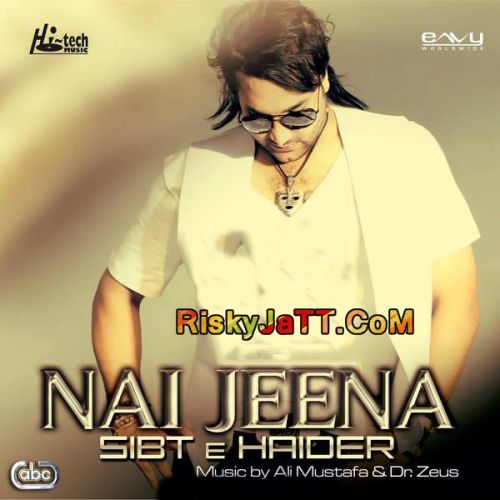 Download Jaan E Mann Sibt E Haider mp3 song, Nai Jeena Sibt E Haider full album download