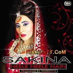 Download Neele Neele Nain Tigerstyle, Sakina mp3 song, Neele Neele Nain Tigerstyle, Sakina full album download