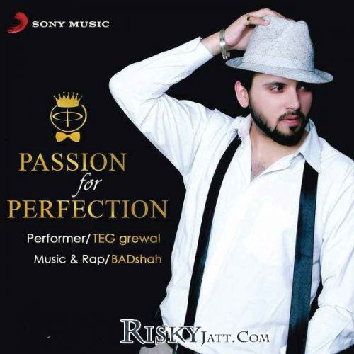 Passion for Perfection By TEG Grewal full mp3 album