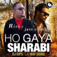 Dj Dips mp3 songs download,Dj Dips Albums and top 20 songs download