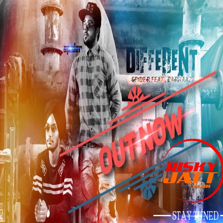 Download Different Spider mp3 song