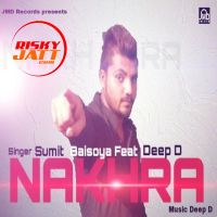 Sumit Baisoya mp3 songs download,Sumit Baisoya Albums and top 20 songs download