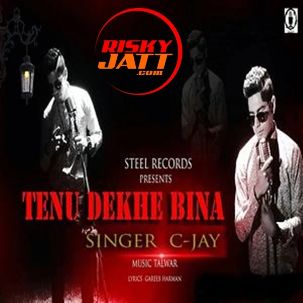 Download Tenu Dekhe Bina C-Jay Bhattia mp3 song