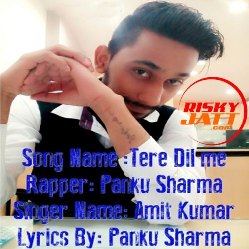 Download Tere Dil Me Amit Kumar, Panku Sharma mp3 song, Tere Dil Me Amit Kumar, Panku Sharma full album download