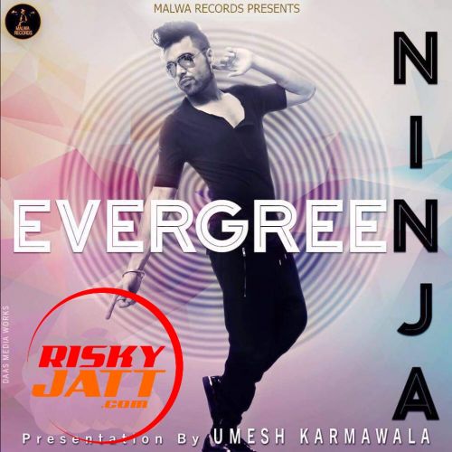 Download Evegreen Ninja mp3 song, Evegreen Ninja full album download