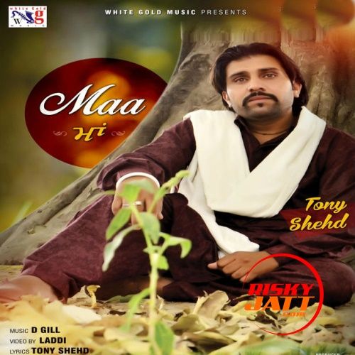 Tony Shehd mp3 songs download,Tony Shehd Albums and top 20 songs download