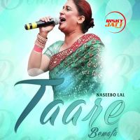 Naseebo Lal mp3 songs download,Naseebo Lal Albums and top 20 songs download