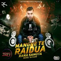 Rana Sahota and DJ Flow mp3 songs download,Rana Sahota and DJ Flow Albums and top 20 songs download