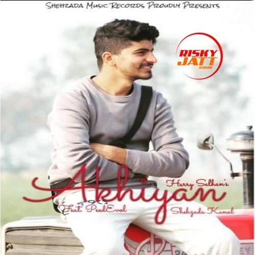 Shehzada Kunal and Harry Salhan mp3 songs download,Shehzada Kunal and Harry Salhan Albums and top 20 songs download