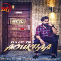 Baaz Gill mp3 songs download,Baaz Gill Albums and top 20 songs download