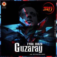 Fysul Mirza mp3 songs download,Fysul Mirza Albums and top 20 songs download