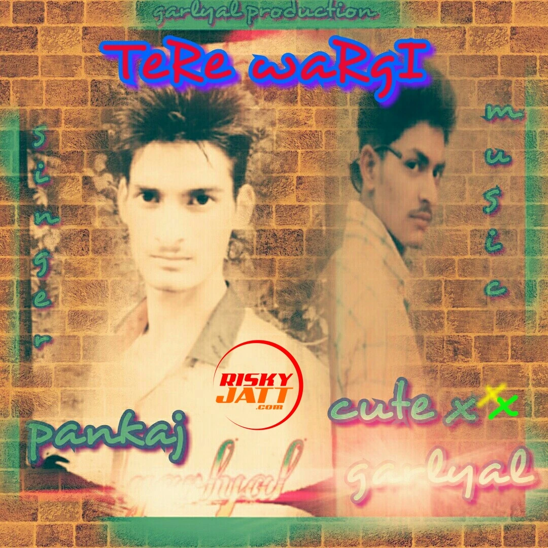 Download Tere Wargi Pankaj Garlyal mp3 song