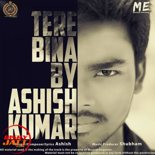 Download Tere Bina Ashish Kumar, Shubham mp3 song, Tere Bina Ashish Kumar, Shubham full album download
