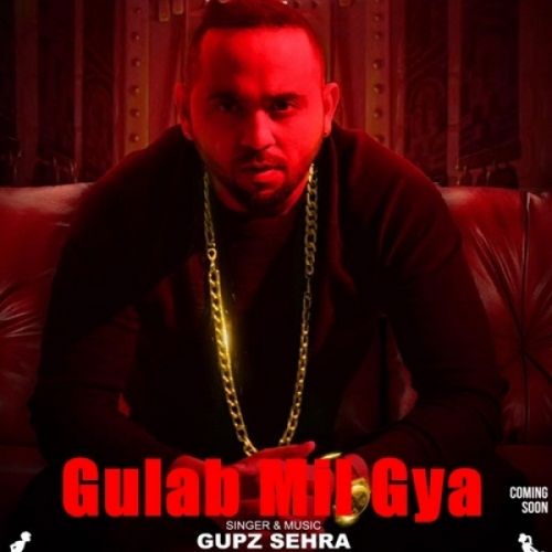 Download Gulab Mil Gya Gupz Sehra mp3 song, Gulab Mil Gya Gupz Sehra full album download