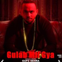 Gupz Sehra mp3 songs download,Gupz Sehra Albums and top 20 songs download