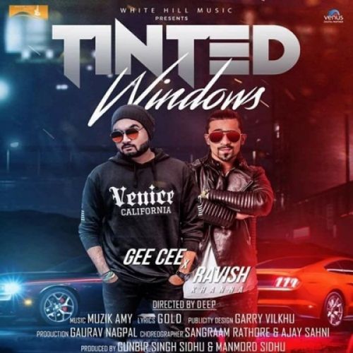 Download Tinted Windows Gee Cee, Ravish Khanna mp3 song, Tinted Windows Gee Cee, Ravish Khanna full album download