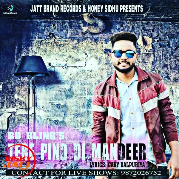 Download Tere pind di mandeer Rd Bling Feat Honey Sidhu mp3 song