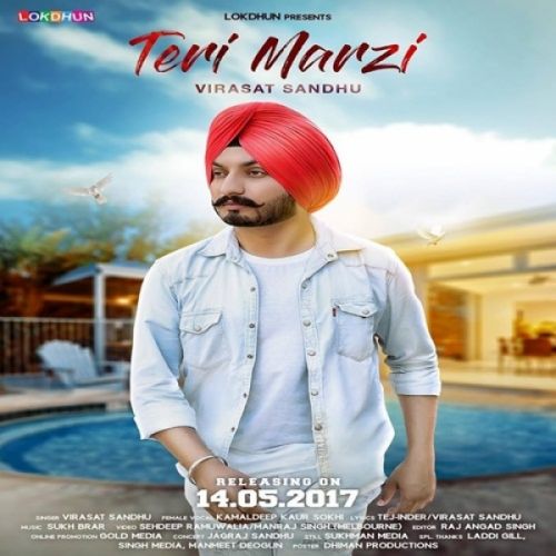 Download Teri Marzi Virasat Sandhu mp3 song, Teri Marzi Virasat Sandhu full album download
