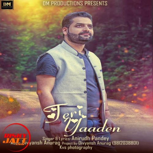 Download Teri Yadden Anirudh Pandey mp3 song, Teri Yadden Anirudh Pandey full album download