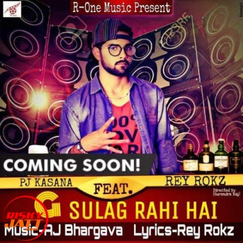 G Sulag Rahi Hai Lyrics by PJ Kasana Ft. Rey Rokz