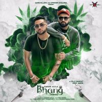 Download Bhang (Weed) Karan Aujla mp3 song