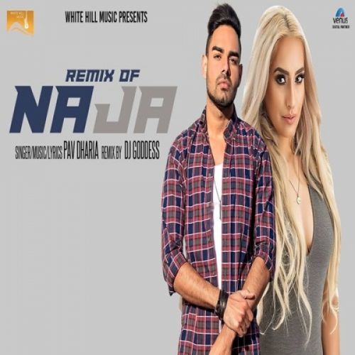 Download Na Ja (Remix) DJ Goddess, Pav Dharia mp3 song, Na Ja (Remix) DJ Goddess, Pav Dharia full album download