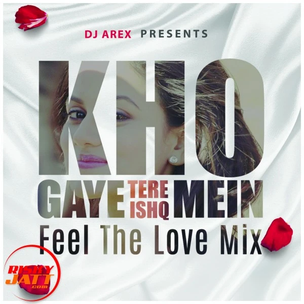 Download Kho Gaye (feel The Love Mix) - Dj Arex Dj Arex mp3 song