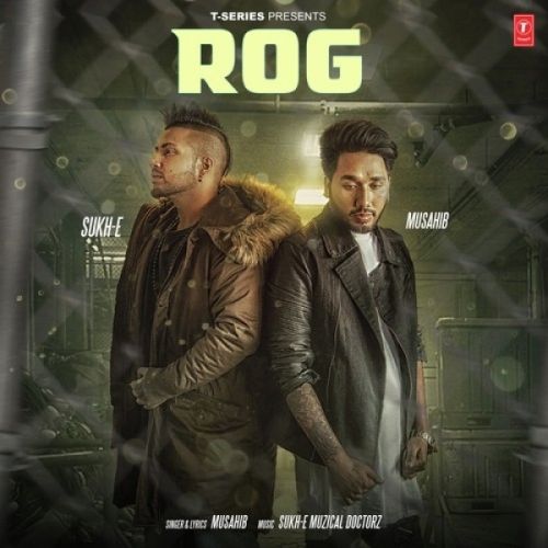 Download Rog Musahib mp3 song, Rog Musahib full album download