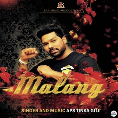 Download Malang APS Tinka Gill mp3 song, Malang APS Tinka Gill full album download