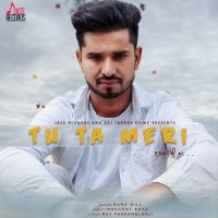 Guru Gill mp3 songs download,Guru Gill Albums and top 20 songs download