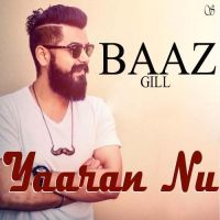 Baaz Gill mp3 songs download,Baaz Gill Albums and top 20 songs download