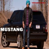 Sidhu Moose Wala mp3 songs download,Sidhu Moose Wala Albums and top 20 songs download