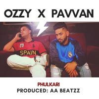 Pavvan Singh mp3 songs download,Pavvan Singh Albums and top 20 songs download