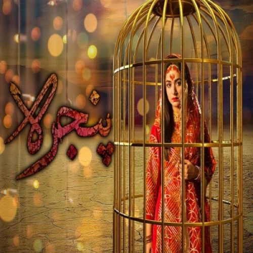 Download Pinjra Rahat Fateh Ali Khan, Noraan Laal mp3 song, Pinjra Rahat Fateh Ali Khan, Noraan Laal full album download