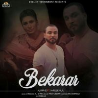 Download Bekarar Naseebo Lal, Ali Faraz mp3 song, Bekarar Naseebo Lal, Ali Faraz full album download
