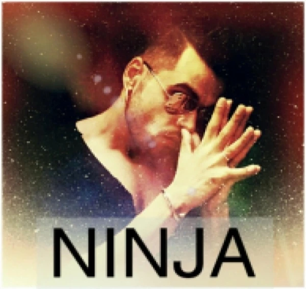 Download Star Ninja mp3 song, Star Ninja full album download