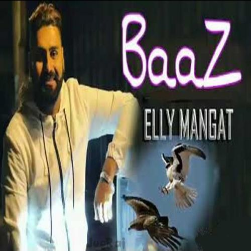 Baaz Lyrics by Elly Mangat