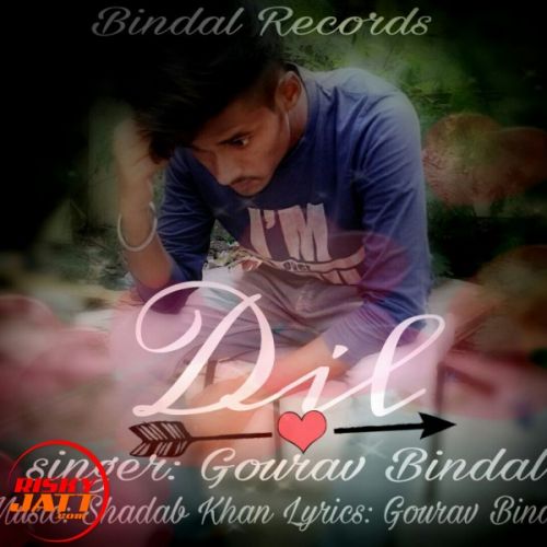 Download Dil Gourav Bindal mp3 song, Dil Gourav Bindal full album download