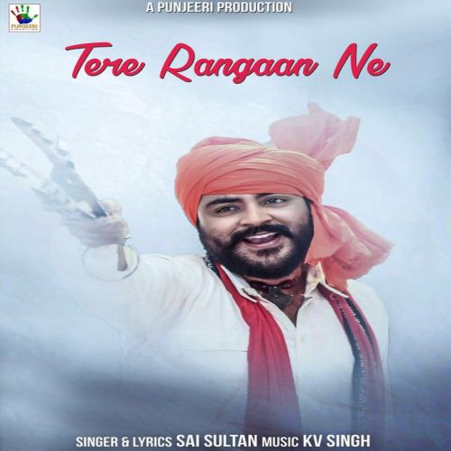 Download Tere Rangaan Ne Sai Sultan mp3 song, Tere Rangaan Ne Sai Sultan full album download