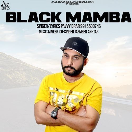 Download Black Mamba Pavvy Brar mp3 song, Black Mamba Pavvy Brar full album download