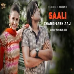 Download Saali Chandigarh Aali Vinu Gaur mp3 song, Saali Chandigarh Aali Vinu Gaur full album download