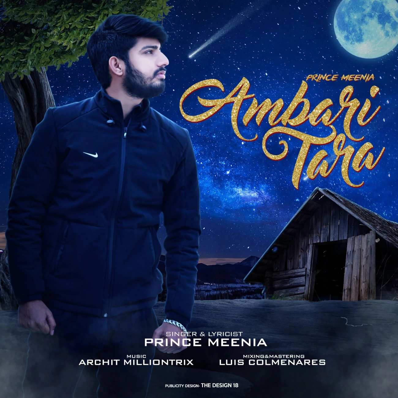 Download Ambari Tara Prince Meenia mp3 song