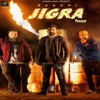 Baaghi mp3 songs download,Baaghi Albums and top 20 songs download
