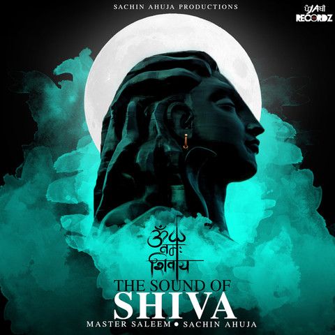 Download The Sound Of Shiva Master Saleem, Sachin Ahuja mp3 song, The Sound Of Shiva Master Saleem, Sachin Ahuja full album download